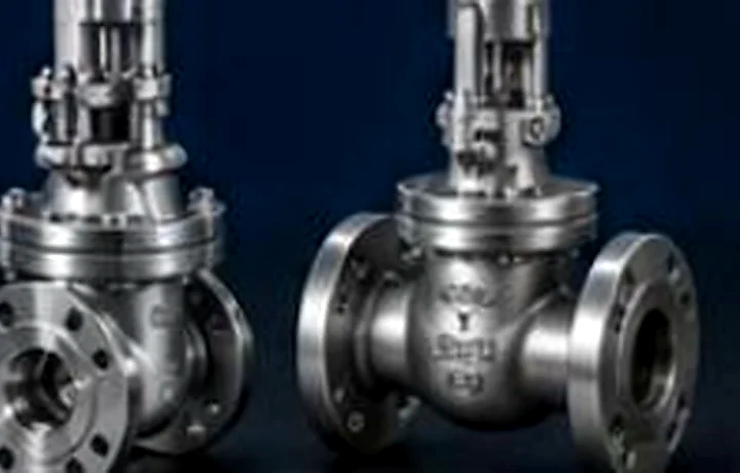 Gate & Globe Valves