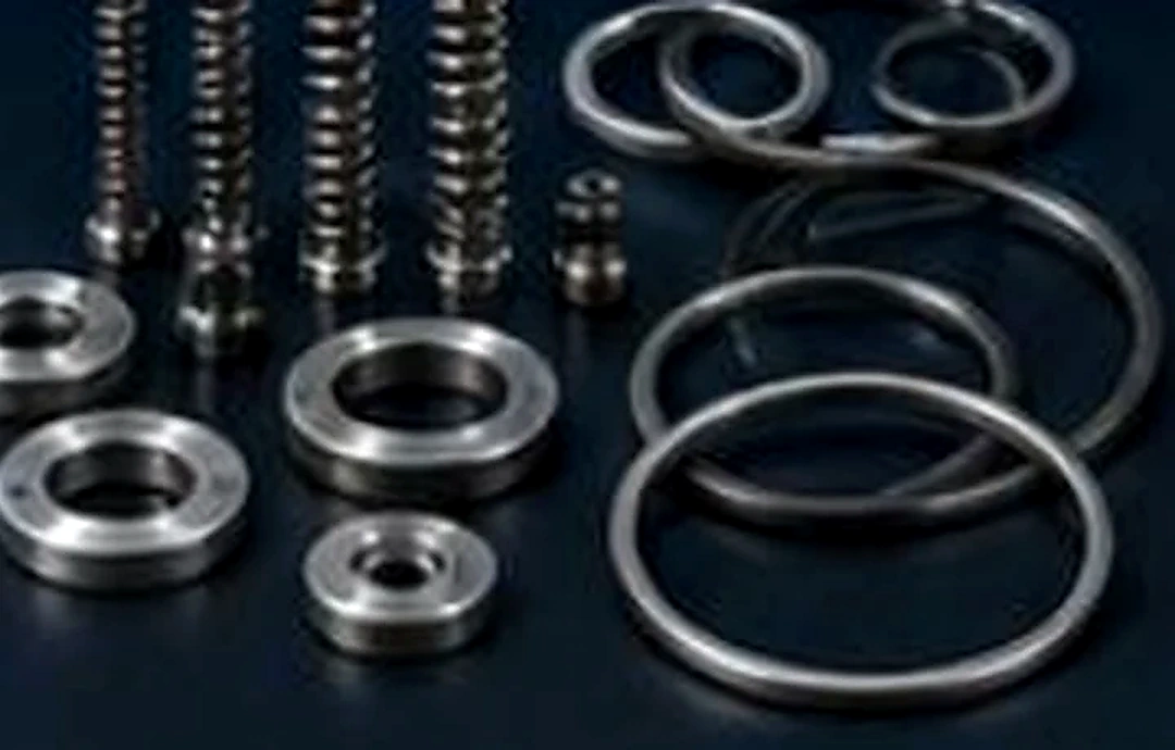 Valve Repair Kits
